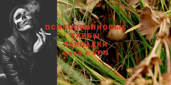 гашик Абаза