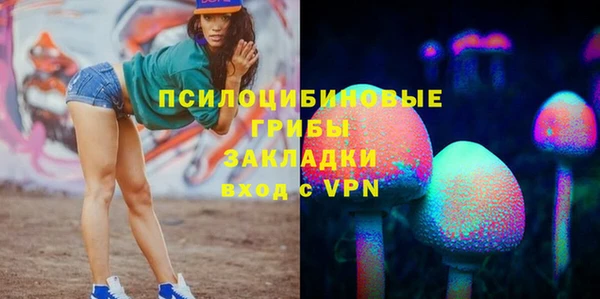 гашик Абаза