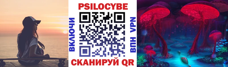 где купить наркотик  Инта  площадка клад  Галлюциногенные грибы Psilocybe 
