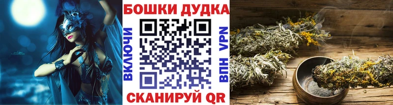 наркотики  Инта  Канабис Amnesia 
